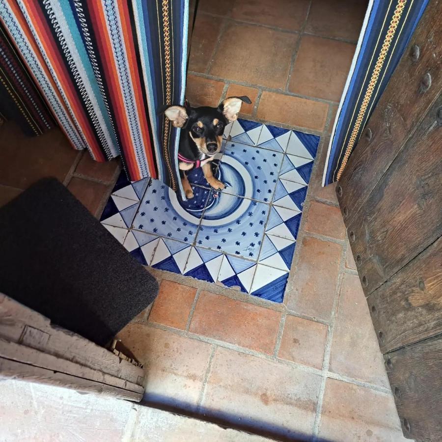 Can Lluna Tu Casa Zen Tarbena Bagian luar foto