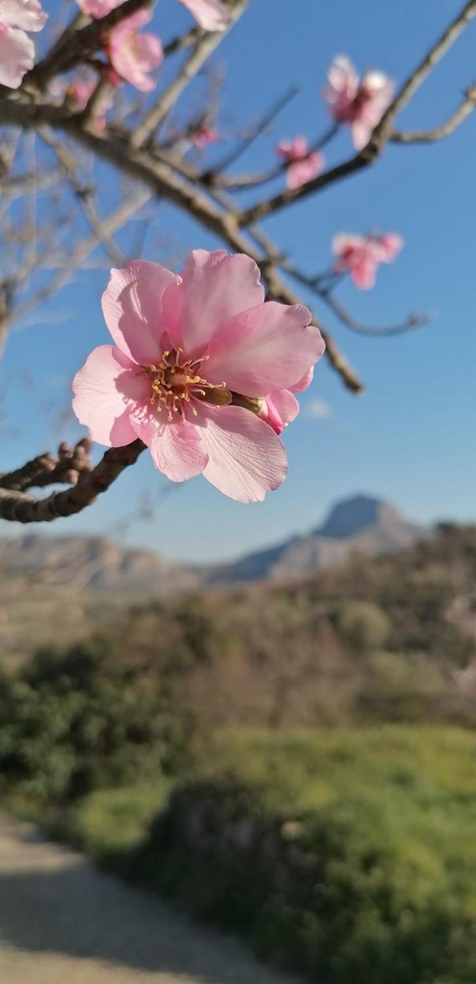Can Lluna Tu Casa Zen Tarbena Bagian luar foto